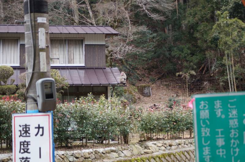 f:id:nankaen:20130222210046j:image f:id:nankaen:20130222210046j:image
