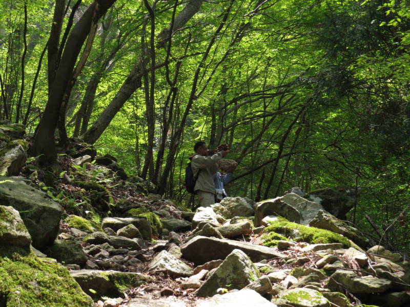 f:id:nankaen:20130513235326j:image f:id:nankaen:20130513235326j:image