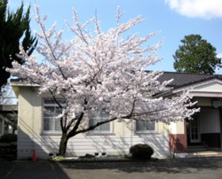 f:id:nano_an:20100404232707j:image f:id:nano_an:20100404232707j:image