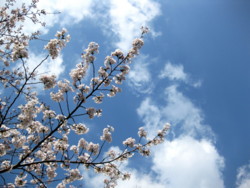 f:id:nano_an:20100404234157j:image f:id:nano_an:20100404234157j:image