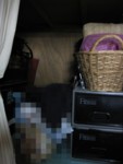 f:id:nano_an:20101231004643j:image f:id:nano_an:20101231004643j:image