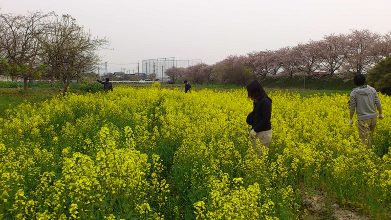 f:id:nanowari:20140416163255j:plain f:id:nanowari:20140416163255j:plain