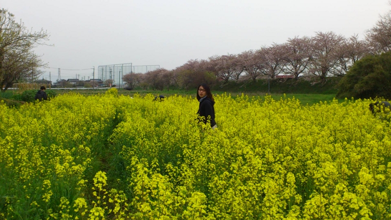 f:id:nanowari:20140416163547j:plain f:id:nanowari:20140416163547j:plain
