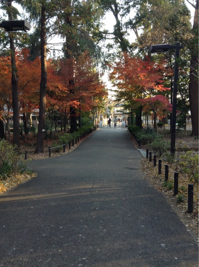 f:id:nanv:20151228231702j:image f:id:nanv:20151228231702j:image