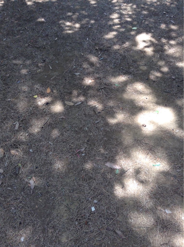 f:id:nanv:20160616234419j:image f:id:nanv:20160616234419j:image