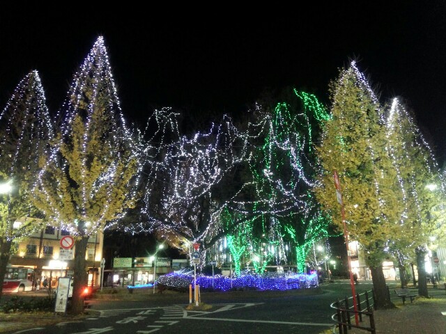 f:id:nao38mi:20151220102249j:image f:id:nao38mi:20151220102249j:image