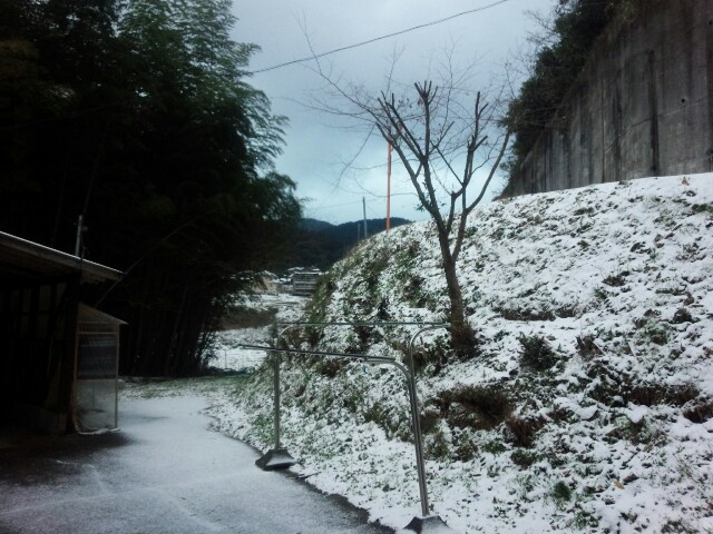 f:id:nao38mi:20160119162414j:image f:id:nao38mi:20160119162414j:image