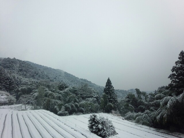 f:id:nao38mi:20160123211617j:image f:id:nao38mi:20160123211617j:image