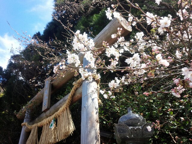 f:id:nao38mi:20160329215436j:image f:id:nao38mi:20160329215436j:image