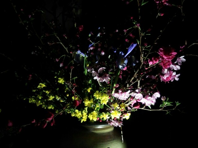 f:id:nao38mi:20160403170100j:image f:id:nao38mi:20160403170100j:image