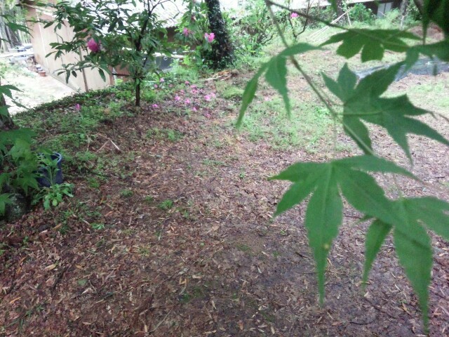 f:id:nao38mi:20160427162011j:image f:id:nao38mi:20160427162011j:image
