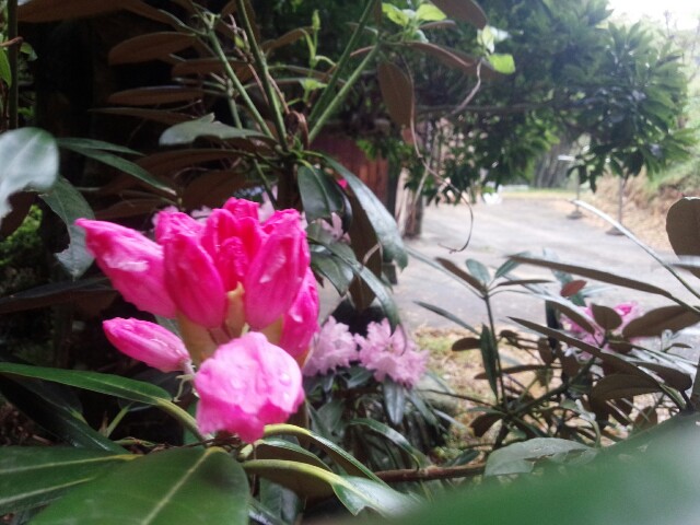 f:id:nao38mi:20160427165408j:image f:id:nao38mi:20160427165408j:image