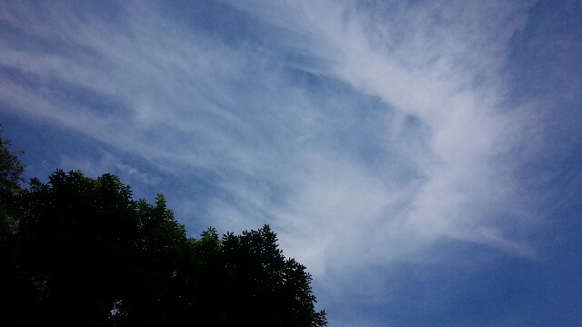 f:id:nao38mi:20160627164424j:image f:id:nao38mi:20160627164424j:image