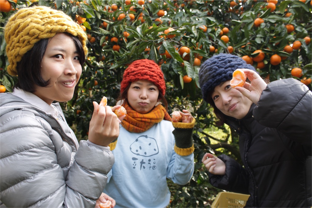 f:id:naokinoki777:20151130203804j:image f:id:naokinoki777:20151130203804j:image
