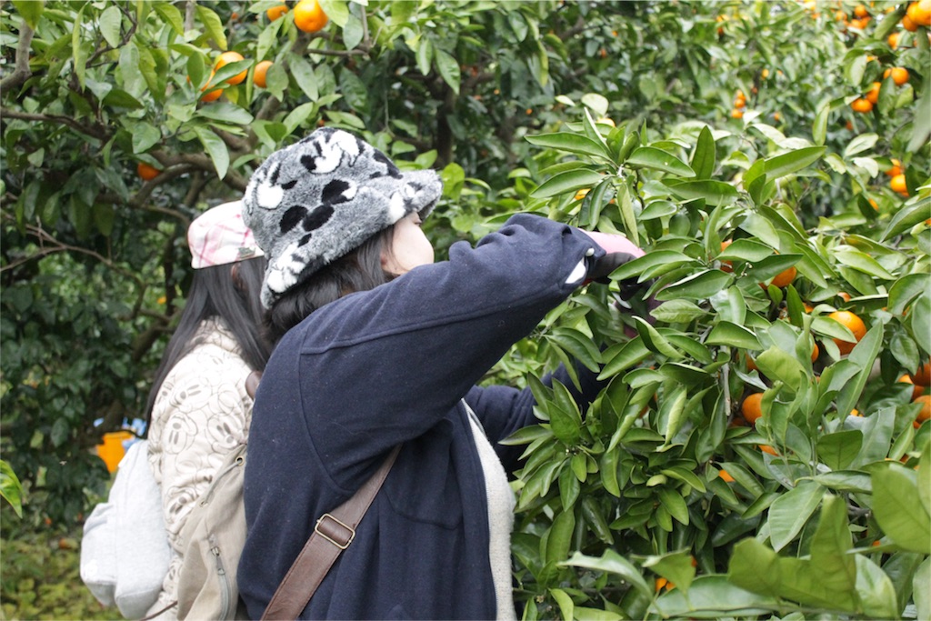 f:id:naokinoki777:20151214222200j:image f:id:naokinoki777:20151214222200j:image