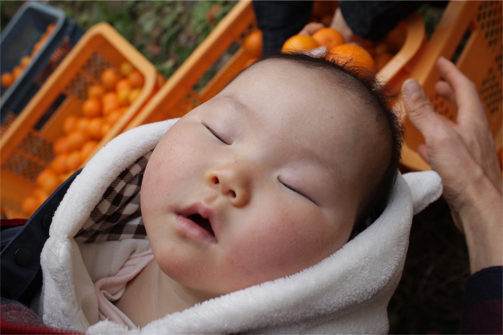 f:id:naokinoki777:20151214222450j:image f:id:naokinoki777:20151214222450j:image