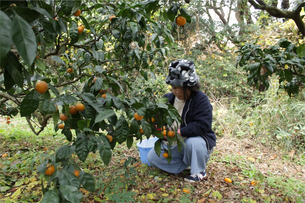 f:id:naokinoki777:20151214222736j:image f:id:naokinoki777:20151214222736j:image