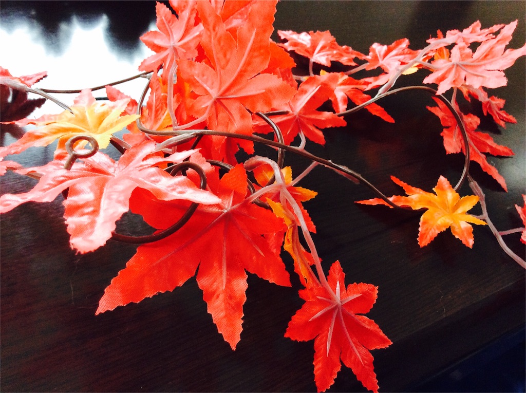 f:id:naoko-ushiki:20151213134513j:image f:id:naoko-ushiki:20151213134513j:image