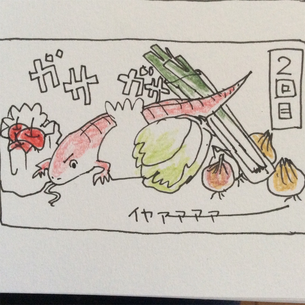 f:id:naoko-ushiki:20151216151738j:image f:id:naoko-ushiki:20151216151738j:image