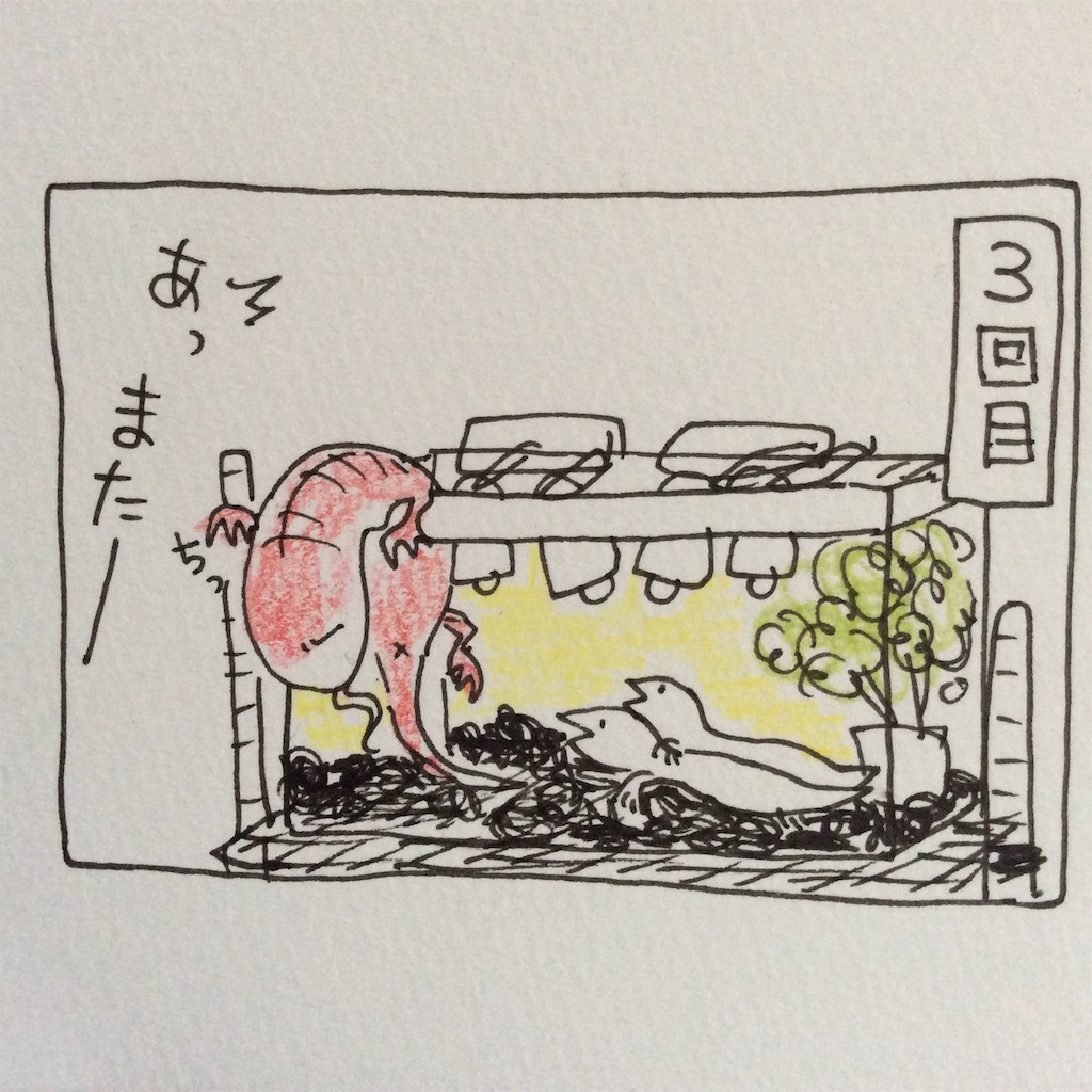 f:id:naoko-ushiki:20151216152053j:image f:id:naoko-ushiki:20151216152053j:image