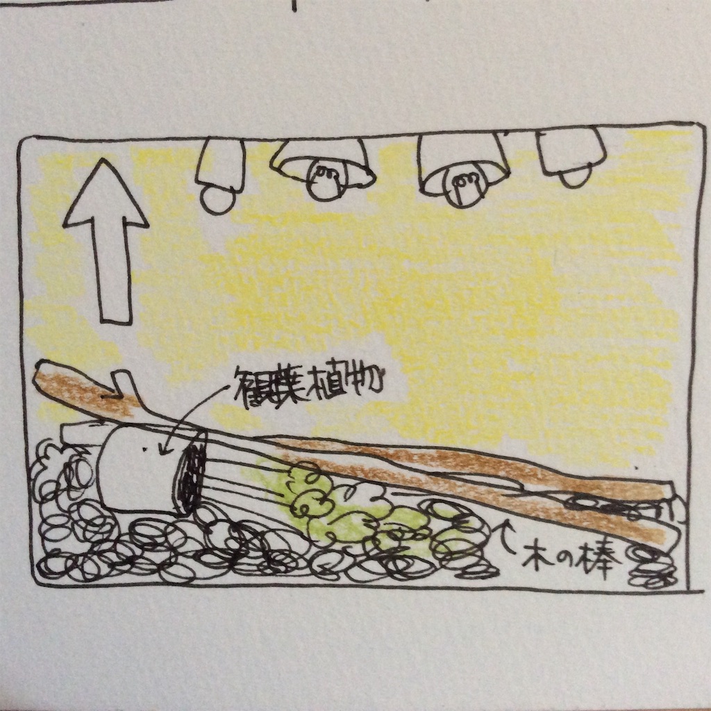 f:id:naoko-ushiki:20151216152204j:image f:id:naoko-ushiki:20151216152204j:image