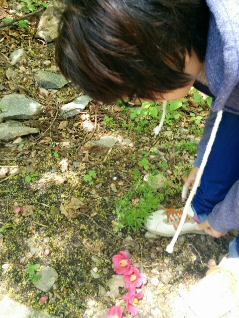 f:id:naoko-ushiki:20160506131729j:image f:id:naoko-ushiki:20160506131729j:image