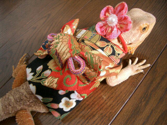 f:id:naoko-ushiki:20160612020758j:image f:id:naoko-ushiki:20160612020758j:image
