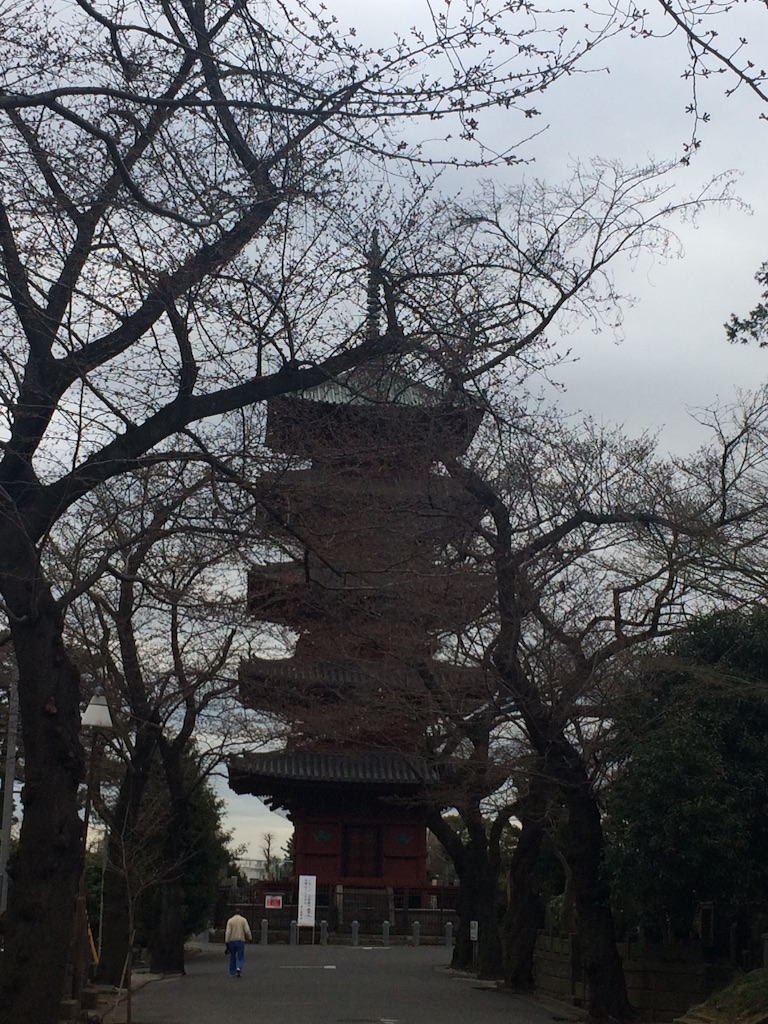 f:id:naokorunning:20160326103937j:image f:id:naokorunning:20160326103937j:image