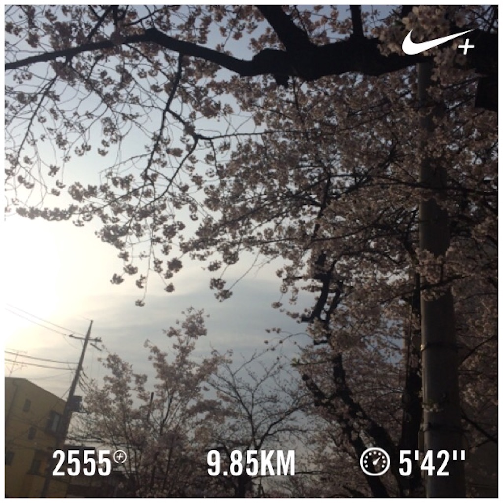 f:id:naokorunning:20160402222137j:image f:id:naokorunning:20160402222137j:image