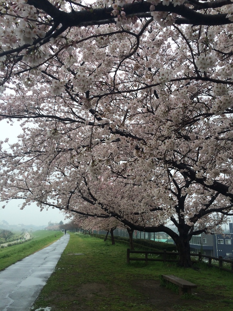 f:id:naokorunning:20160403233228j:image f:id:naokorunning:20160403233228j:image