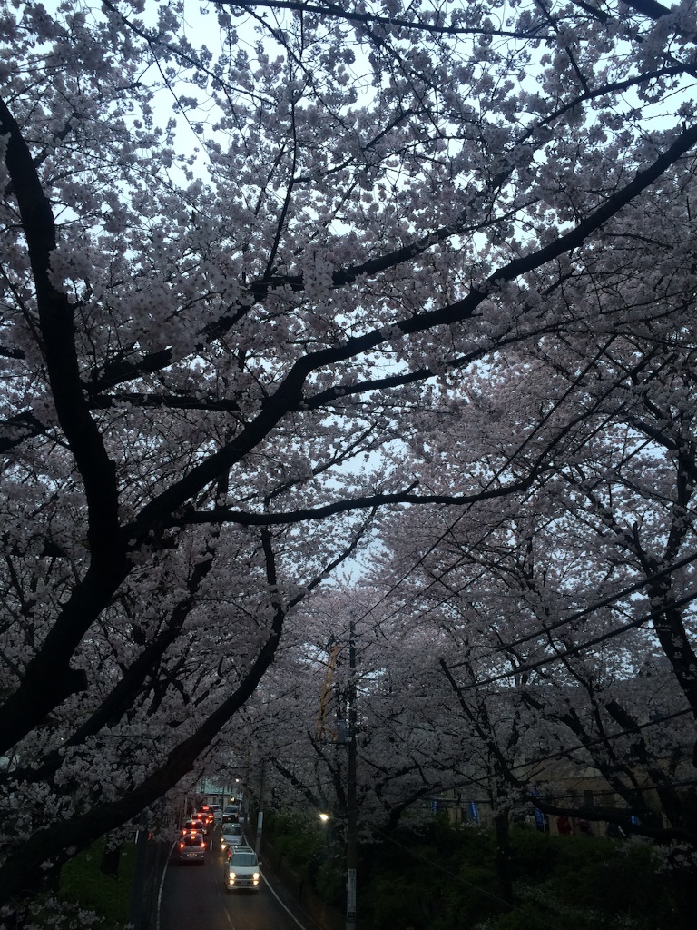 f:id:naokorunning:20160403234820j:image f:id:naokorunning:20160403234820j:image