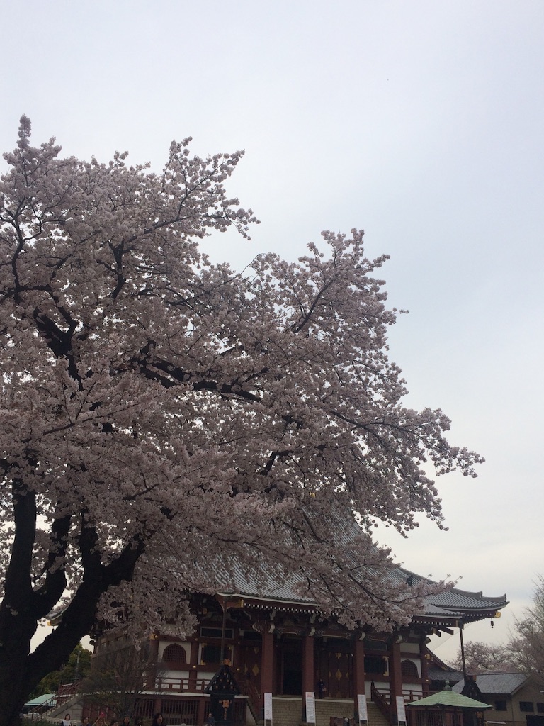 f:id:naokorunning:20160407003812j:image f:id:naokorunning:20160407003812j:image