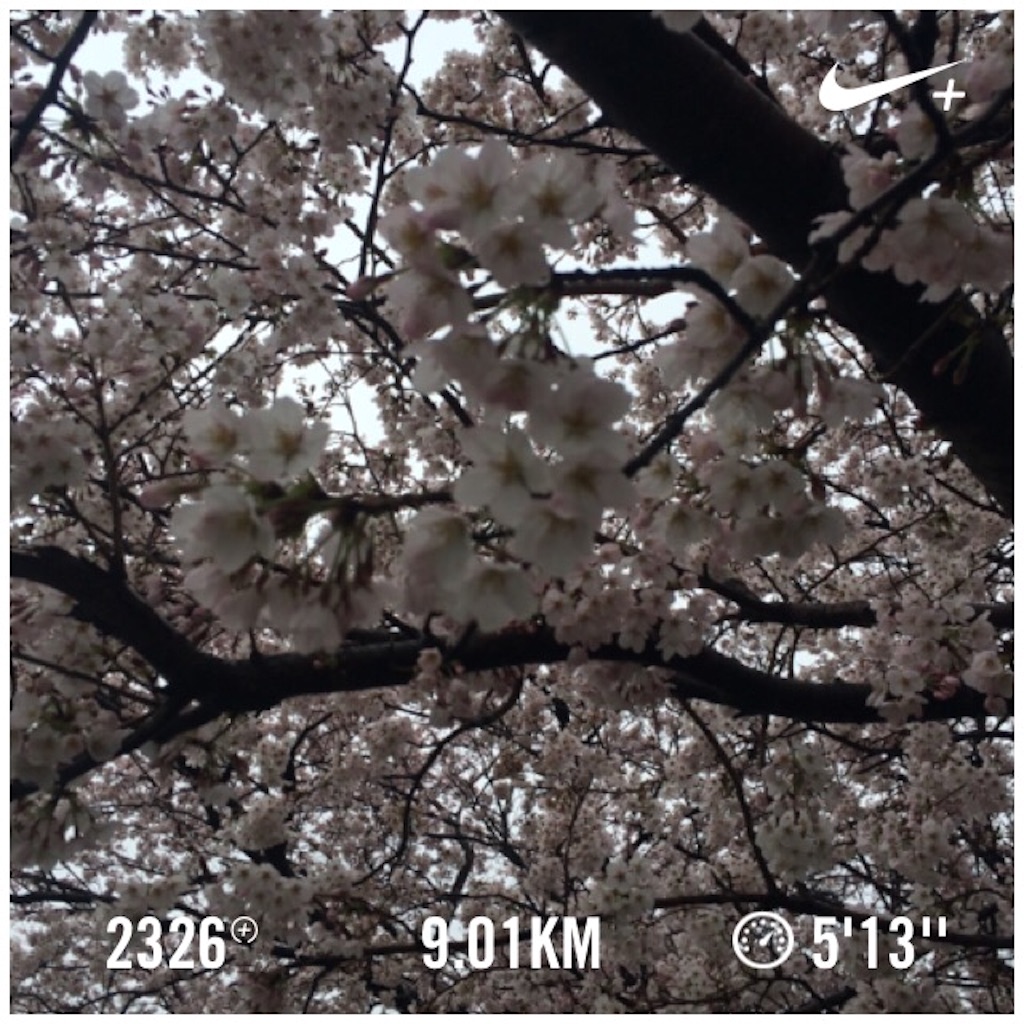 f:id:naokorunning:20160409015204j:image f:id:naokorunning:20160409015204j:image