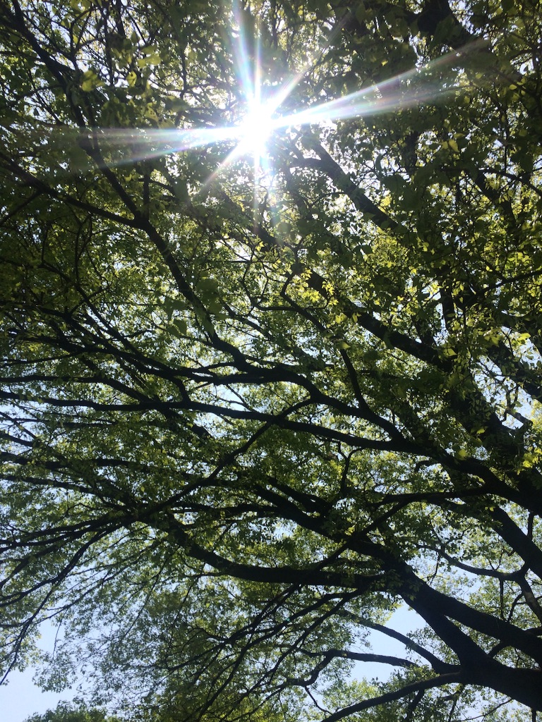 f:id:naokorunning:20160422090725j:image f:id:naokorunning:20160422090725j:image