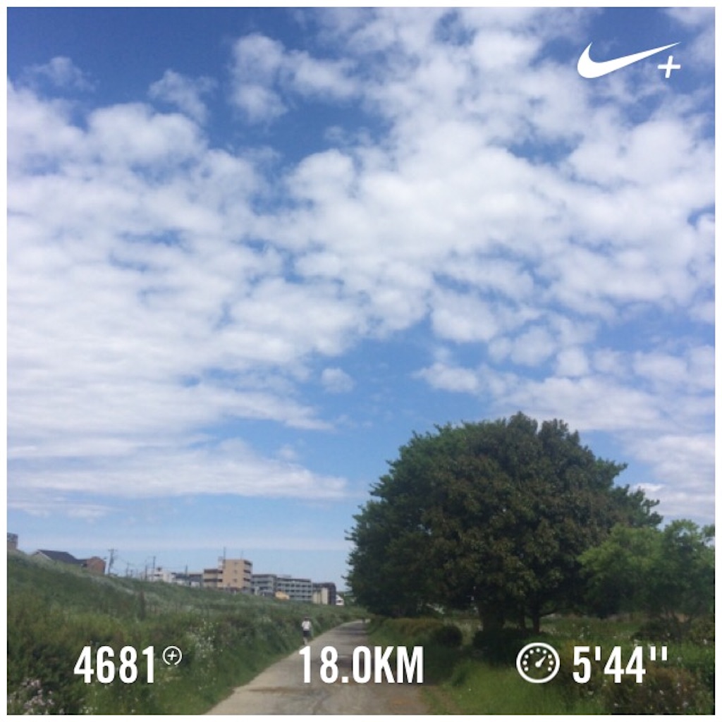 f:id:naokorunning:20160429144452j:image f:id:naokorunning:20160429144452j:image