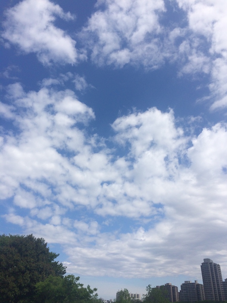f:id:naokorunning:20160429144459j:image f:id:naokorunning:20160429144459j:image