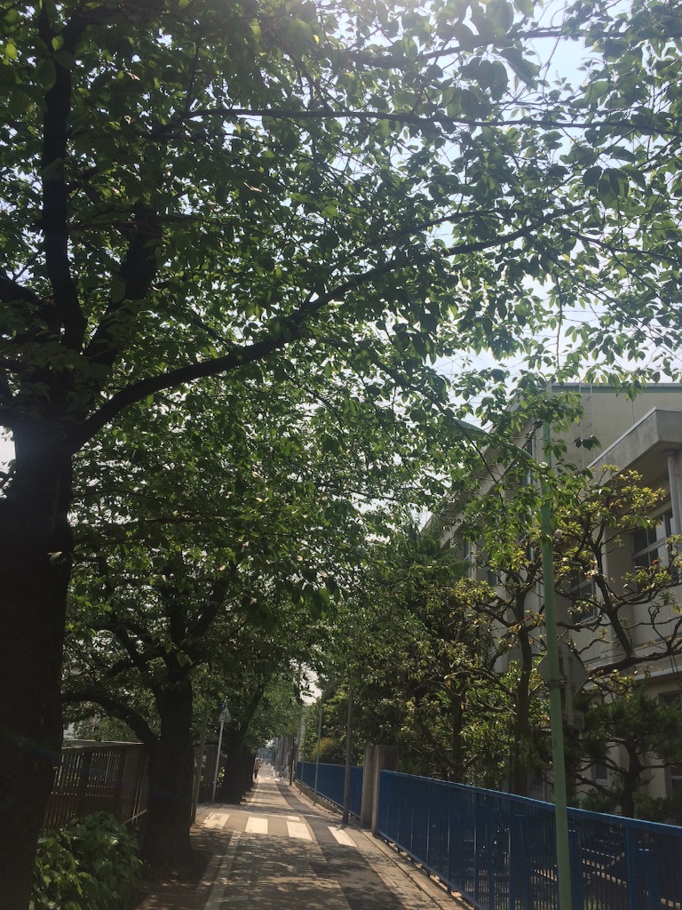 f:id:naokorunning:20160501150148j:image f:id:naokorunning:20160501150148j:image
