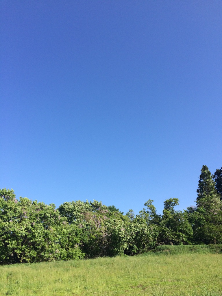 f:id:naokorunning:20160516005729j:image f:id:naokorunning:20160516005729j:image