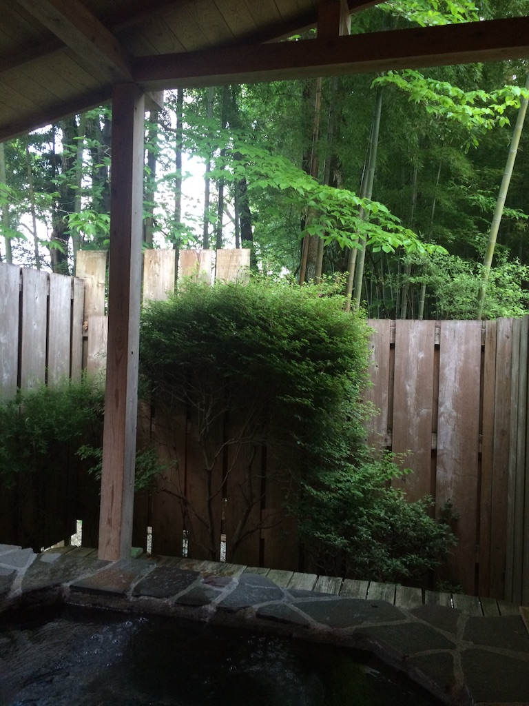 f:id:naokorunning:20160516010144j:image f:id:naokorunning:20160516010144j:image