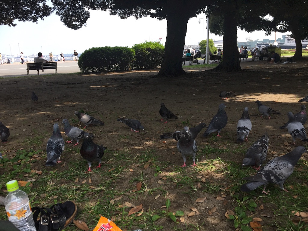 f:id:naotonozinsei:20150922204256j:image f:id:naotonozinsei:20150922204256j:image