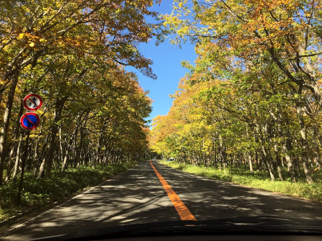 f:id:naotonozinsei:20151003193724j:image f:id:naotonozinsei:20151003193724j:image