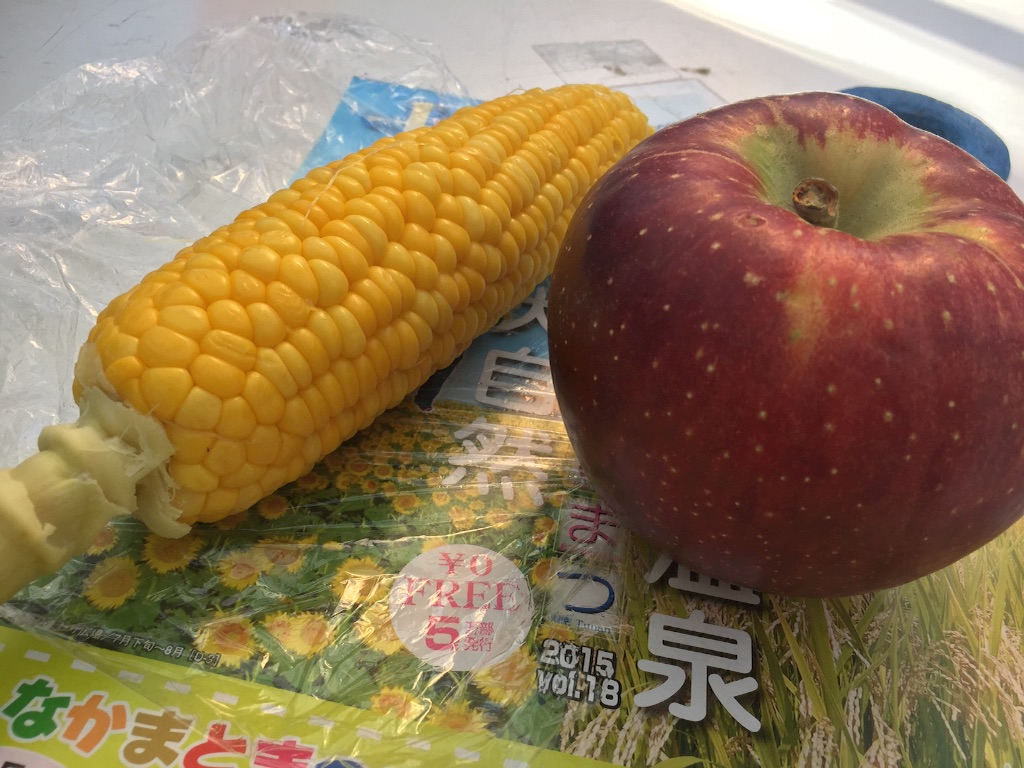 f:id:naotonozinsei:20151005173317j:image f:id:naotonozinsei:20151005173317j:image