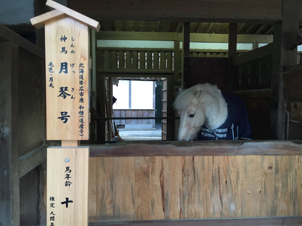 f:id:naotonozinsei:20151205183534j:image f:id:naotonozinsei:20151205183534j:image