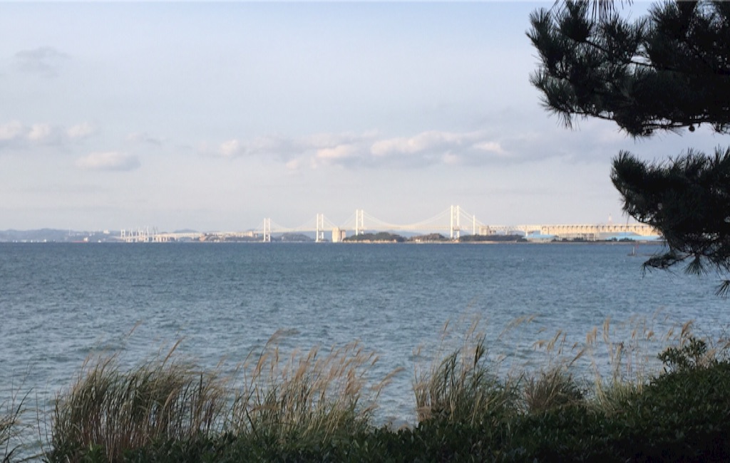 f:id:naotonozinsei:20151205184557j:image f:id:naotonozinsei:20151205184557j:image