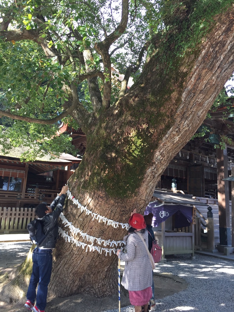 f:id:naotonozinsei:20151205185820j:image f:id:naotonozinsei:20151205185820j:image