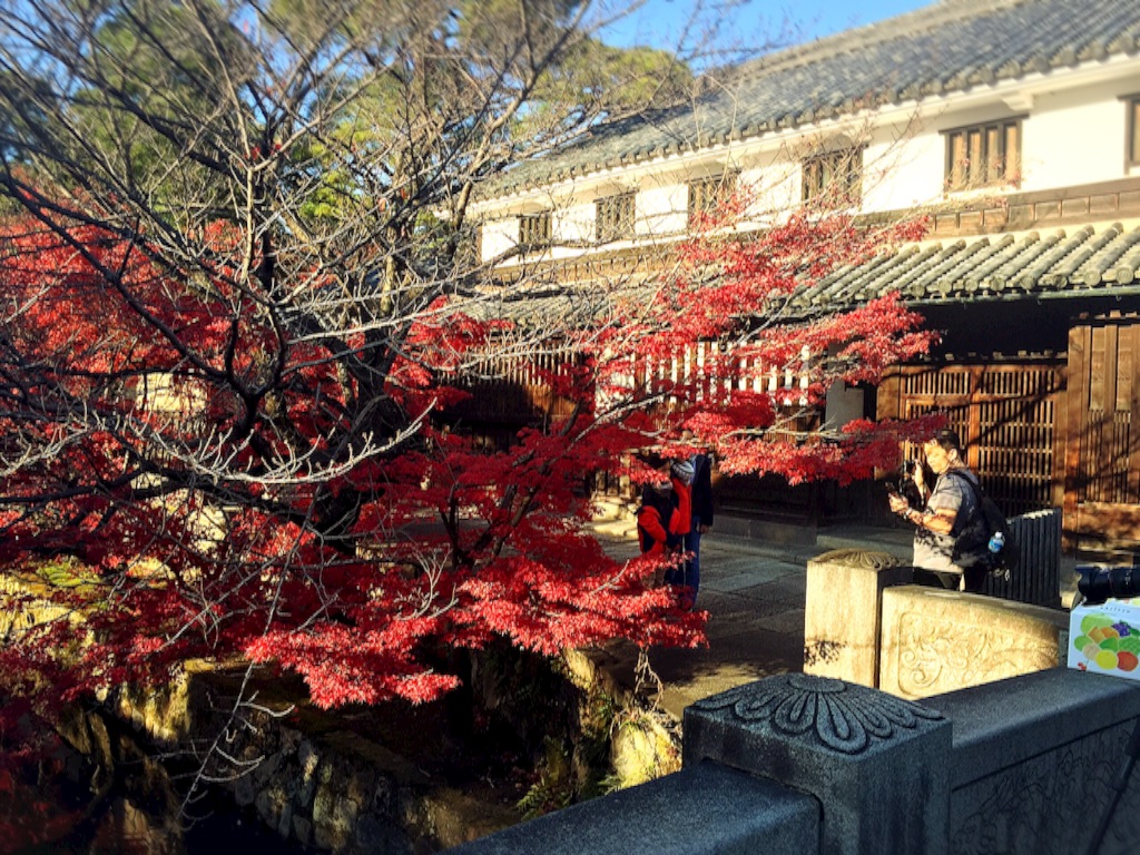 f:id:naotonozinsei:20151207202007j:image f:id:naotonozinsei:20151207202007j:image