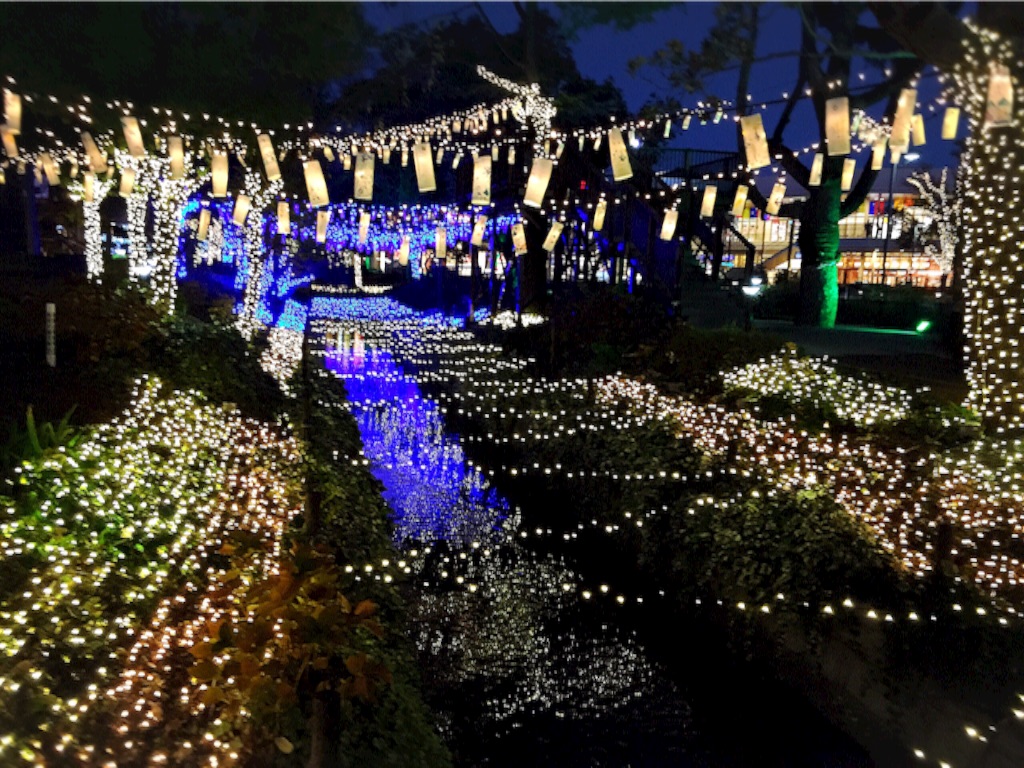f:id:naotonozinsei:20151207203650j:image f:id:naotonozinsei:20151207203650j:image