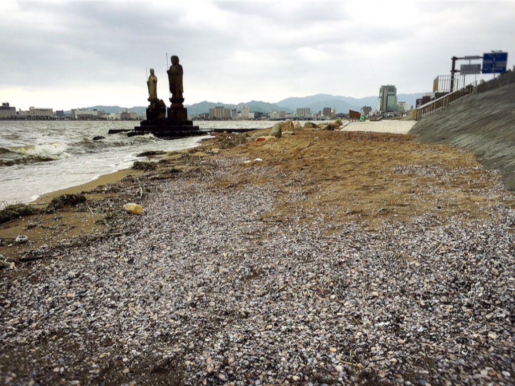 f:id:naotonozinsei:20151216210841j:image f:id:naotonozinsei:20151216210841j:image