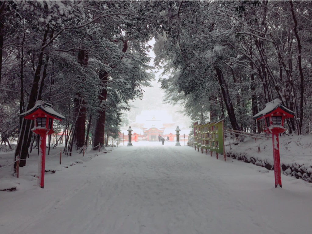f:id:naotonozinsei:20160124205043j:image f:id:naotonozinsei:20160124205043j:image