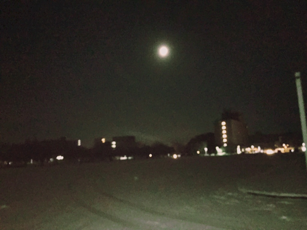 f:id:naotonozinsei:20160125203030j:image f:id:naotonozinsei:20160125203030j:image
